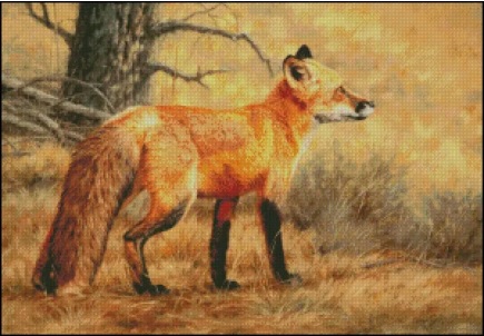 Autumn Fire Red Fox